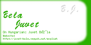 bela juvet business card